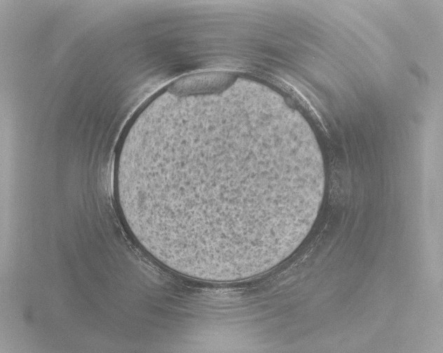 X0000116151276200912211502