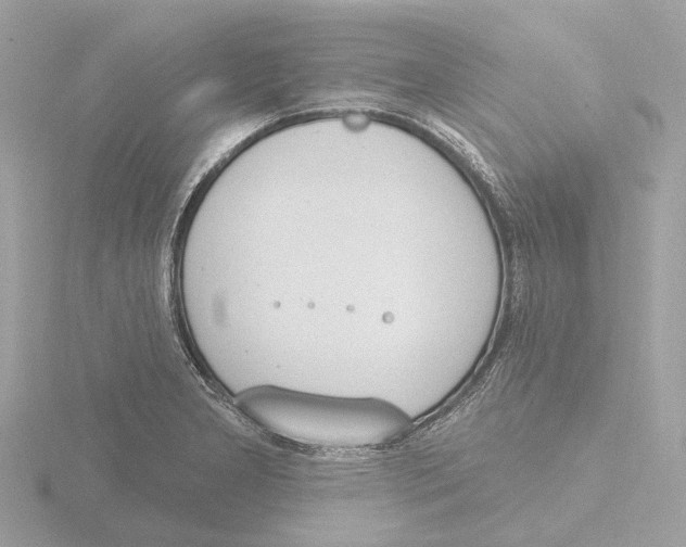 X0000116151277200912211502