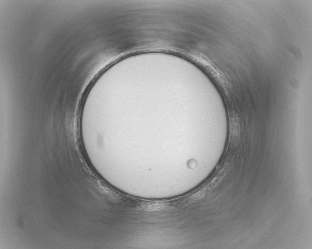 X0000116151278200912211501