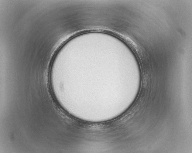 X0000116151279200912211501