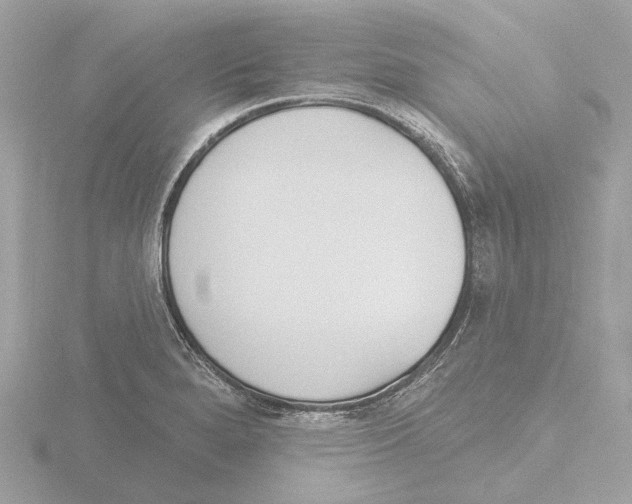 X0000116151280200912211501