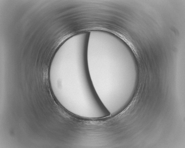 X0000116151281200912211501