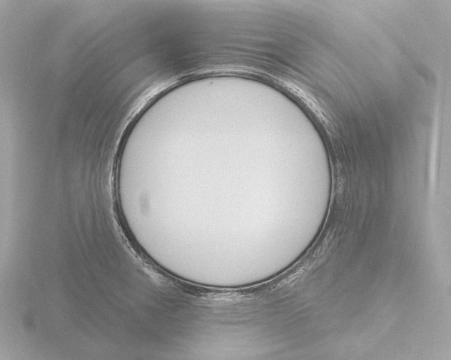 X0000116151282200912211501