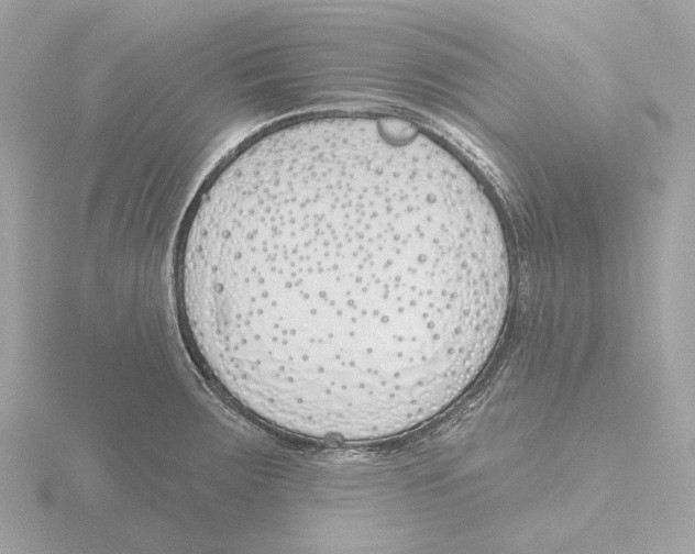 X0000116151283200912211501