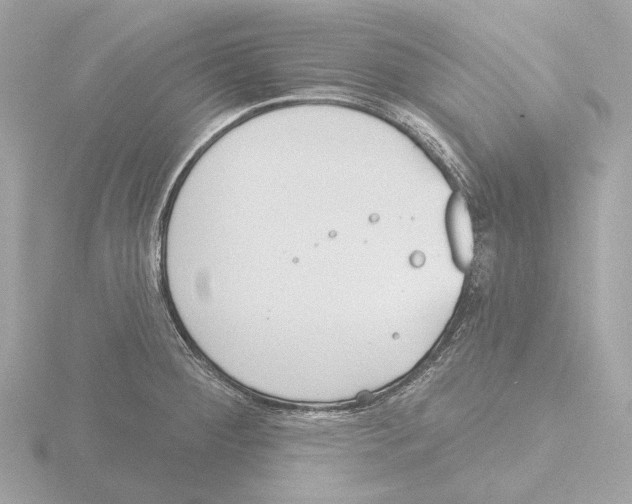 X0000116151284200912211501