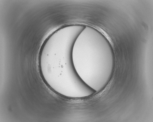 X0000116151285200912211501