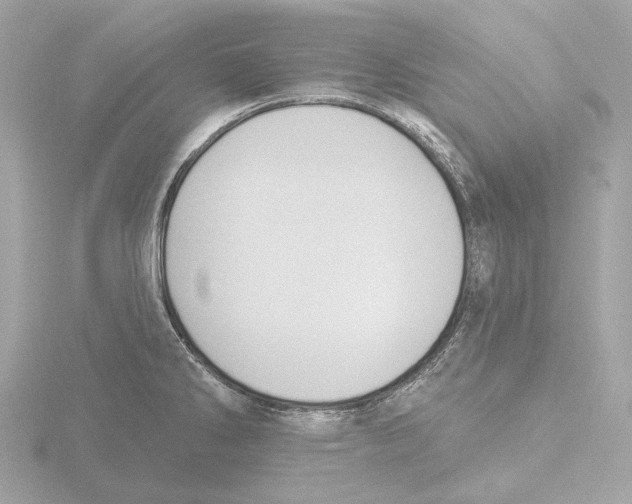 X0000116151286200912211501