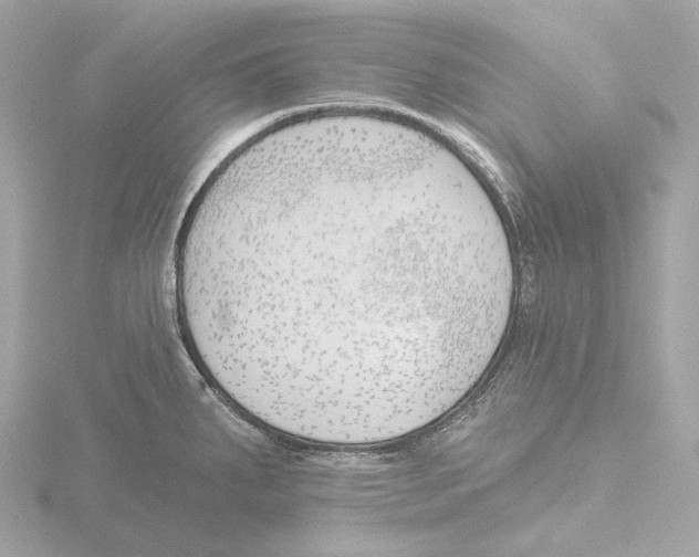 X0000116151287200912211501