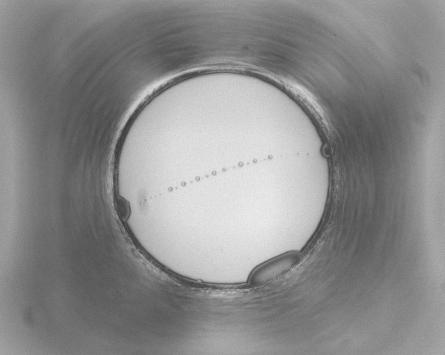 X0000116151288200912211501