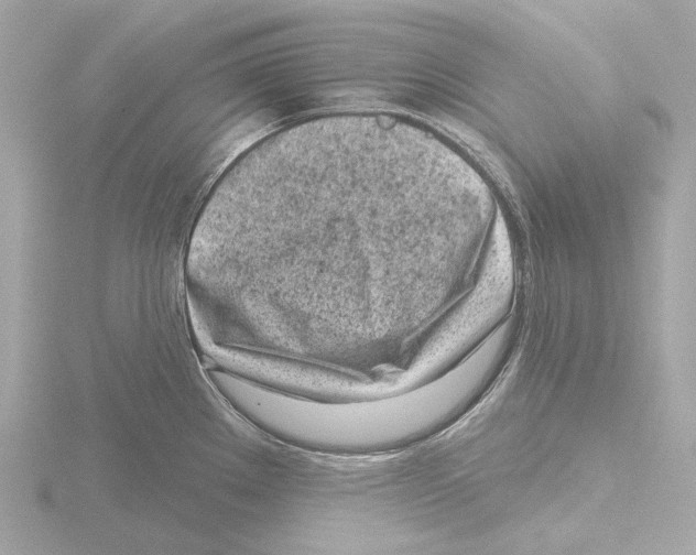 X0000116151289200912211501