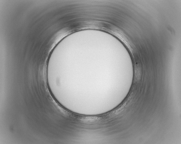 X0000116151290200912211501