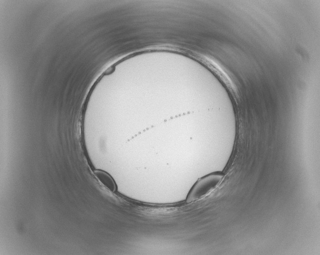 X0000116151292200912211501