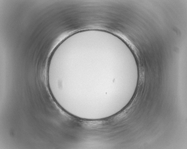 X0000116151294200912211501