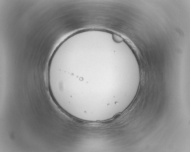 X0000116151295200912211501