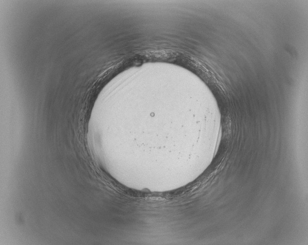 X0000116151297200912211501