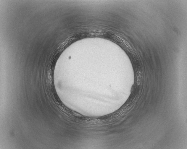 X0000116151298200912211501