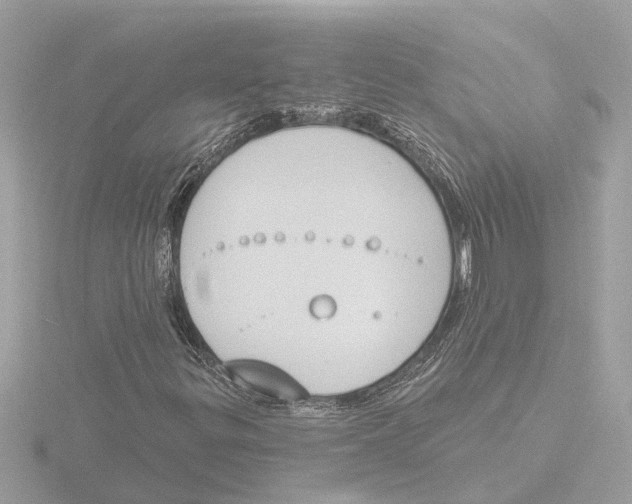 X0000116151299200912211501