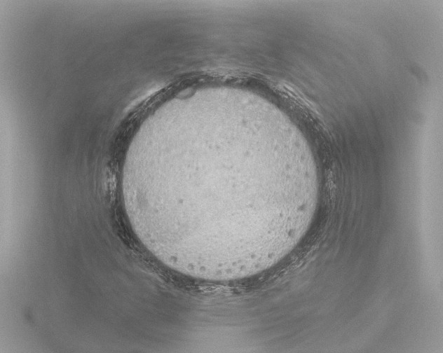 X0000116151302200912211501