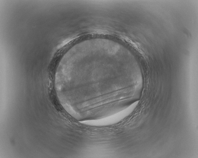 X0000116151303200912211501