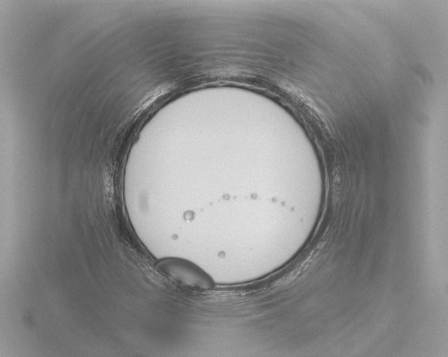 X0000116151305200912211501