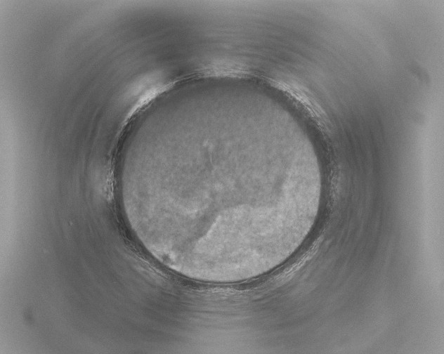 X0000116151306200912211501