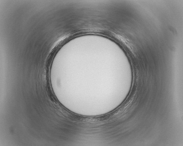 X0000116151307200912211501