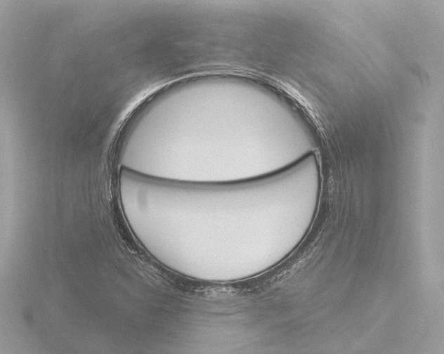 X0000116151310200912211501