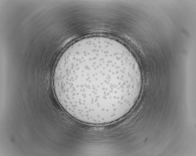 X0000116151313200912211501