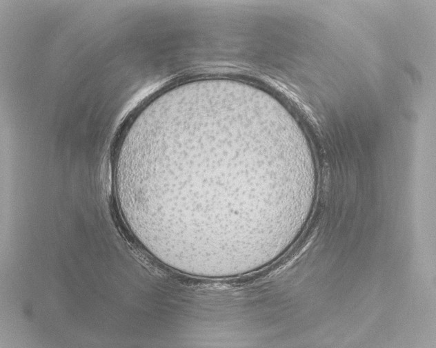 X0000116151317200912211501