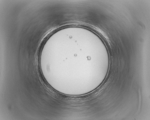 X0000116151318200912211501