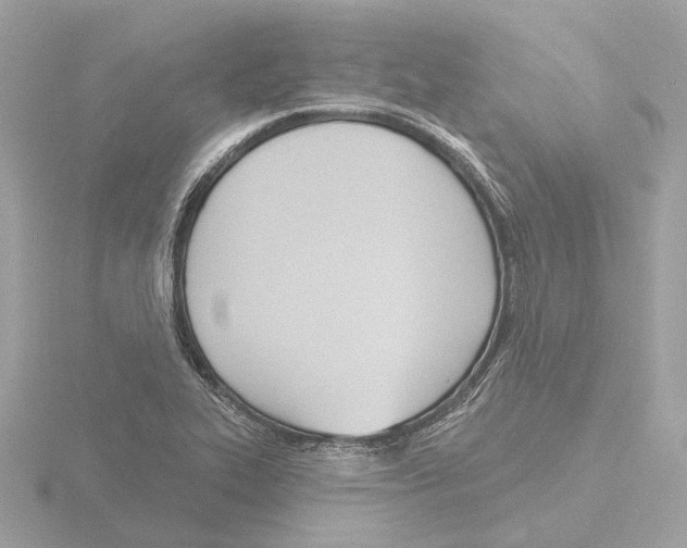 X0000116151319200912211501