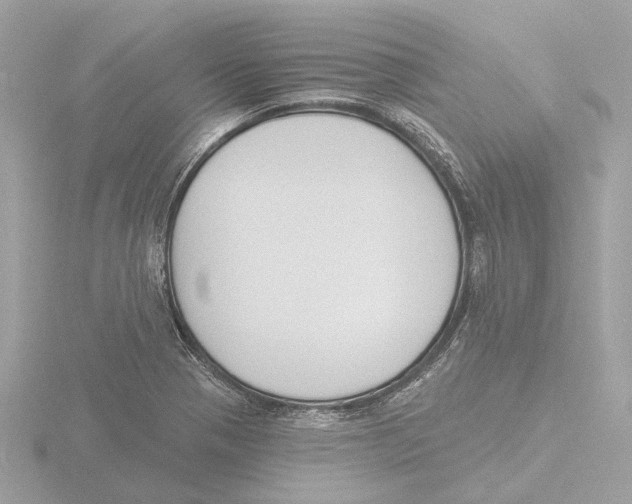 X0000116151321200912211501