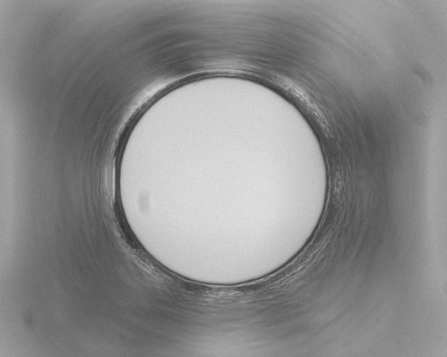 X0000116151323200912211501