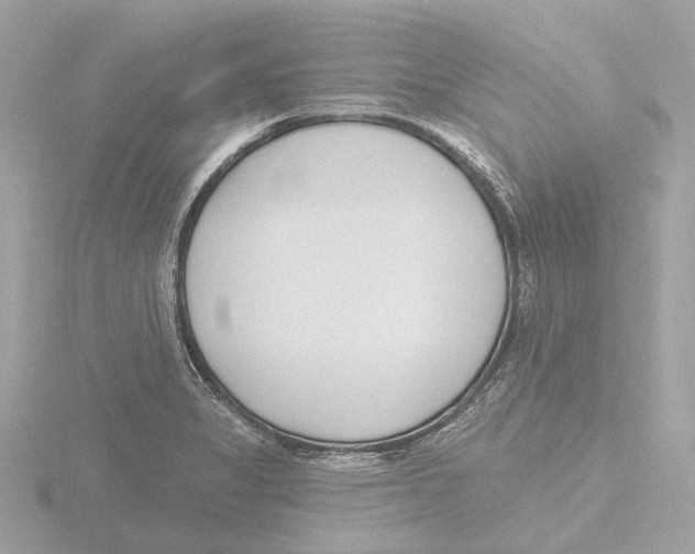 X0000116151325200912211501