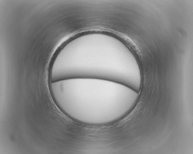 X0000116151326200912211501