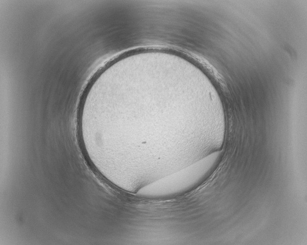 X0000116151327200912211501