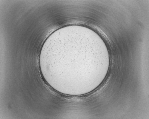 X0000116151329200912211501