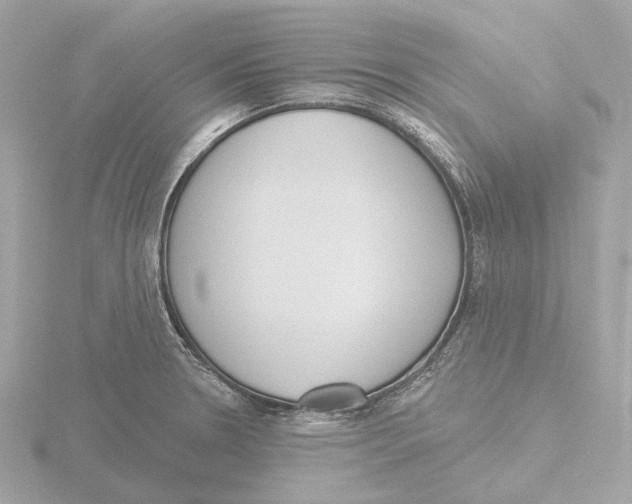 X0000116151330200912211501