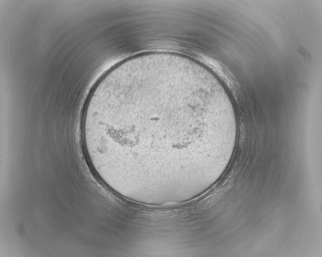 X0000116151331200912211501