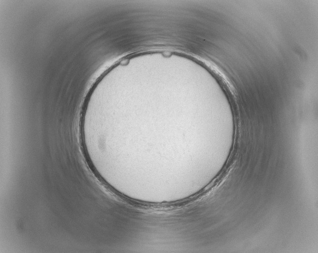 X0000116151333200912211501