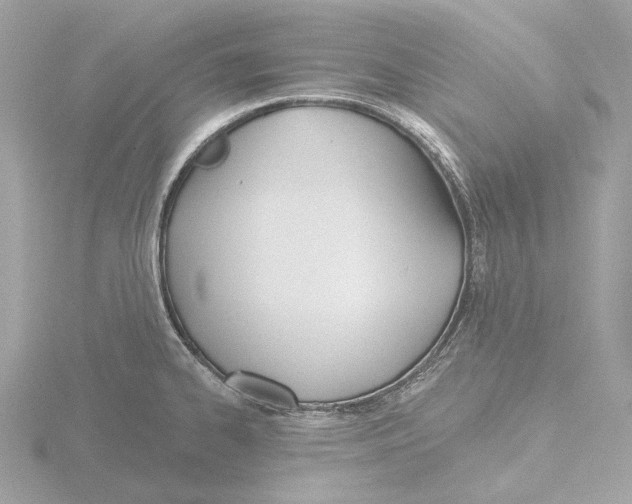 X0000116151334200912211501