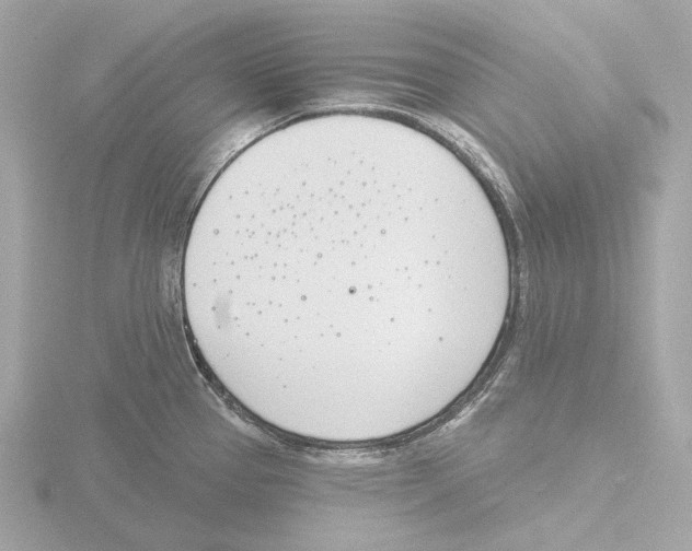 X0000116151337200912211501