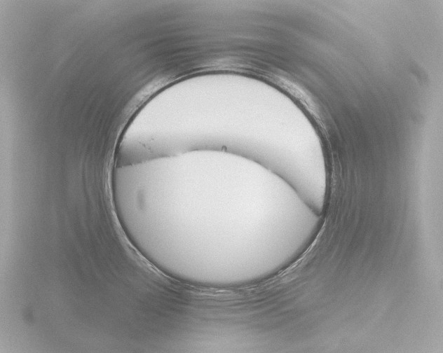 X0000116151338200912211501