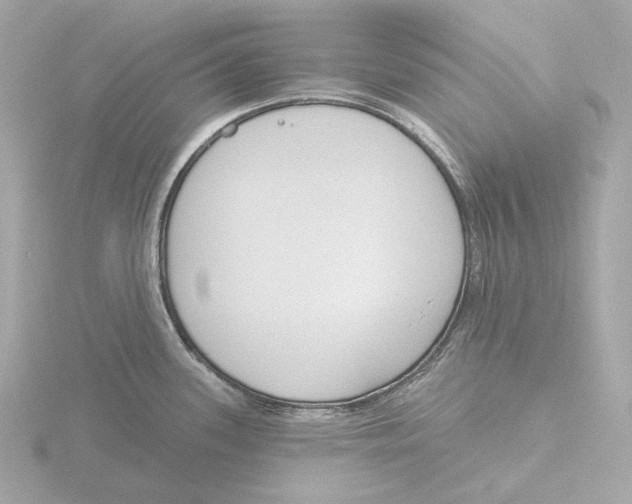 X0000116151339200912211501