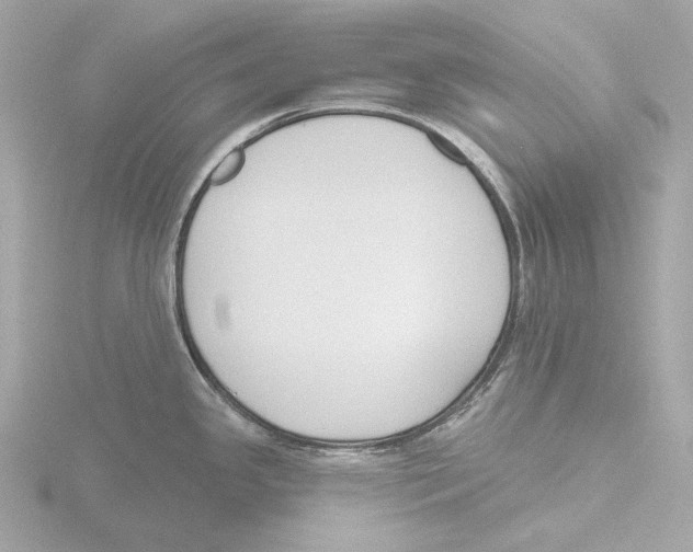 X0000116151341200912211501