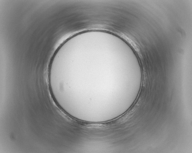 X0000116151342200912211501