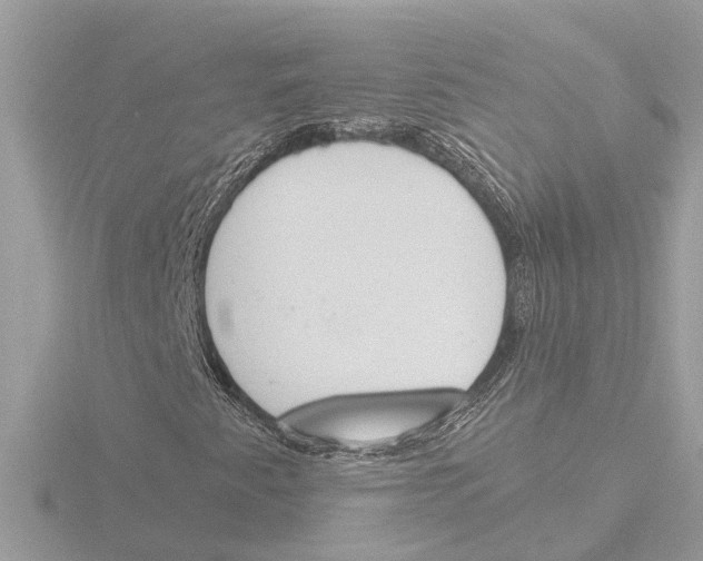 X0000116151345200912211501