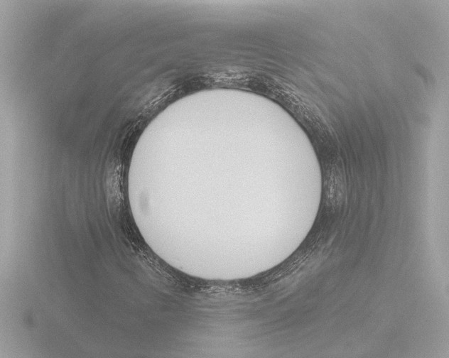 X0000116151346200912211501