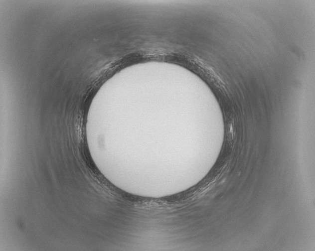 X0000116151348200912211501