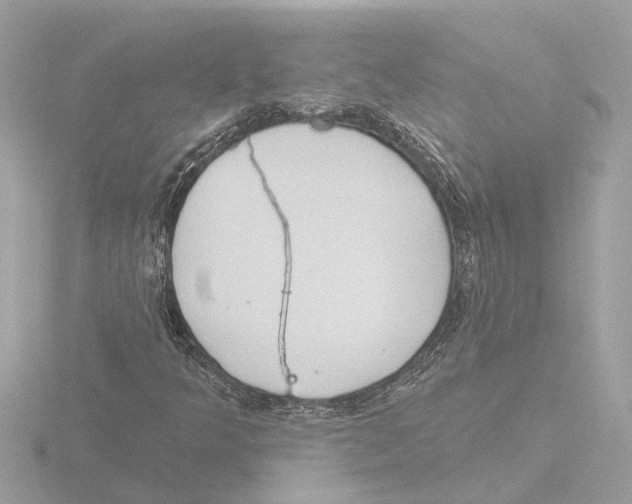 X0000116151349200912211501